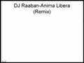 DJ Raaban-Anima Libera(Remix)