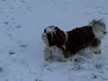 McKenzie December 2008 Snow w/Bolero