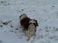 McKenzie December 2008 Snow w/Bolero