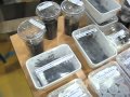 The British Tarantula Society Annual Show 2012