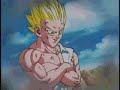 Son Goku and friends