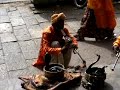 Cobra India