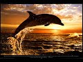 Scorpions-Maybe I Maybe You