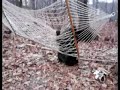 This is another video of 
