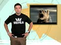 a honda boss issues a challenge to nissan, a new lotus nears its debut and lewis hamilton sets the record straight. hosted by derek deangelis.

 

visit http://feed.fastlanedaily.com and vote for what you want in the show!