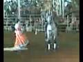 cabalolo que habla
