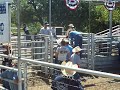 Tristan @ Forestburg