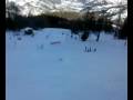 videos de Chuute pra loup