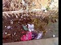 Alluvione a Soccavo
