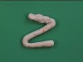 Houndsfield School Animated Alphabet