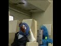 sesame street   grover the flight attendant
