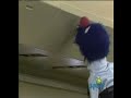 sesame street   grover the flight attendant