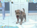 A GAMING DECADE Part 6 Petz Dogz 2