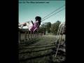 Blueside - Rooney (slideshow)