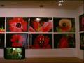 Araki Paris 2002
