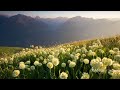Nitrous Oxide feat. Aneym - Far Away (Original Mix)
