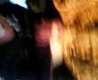 videos de mooooose!!