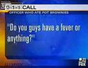 MARIJUANA NEARLY TAKES OFFICER\