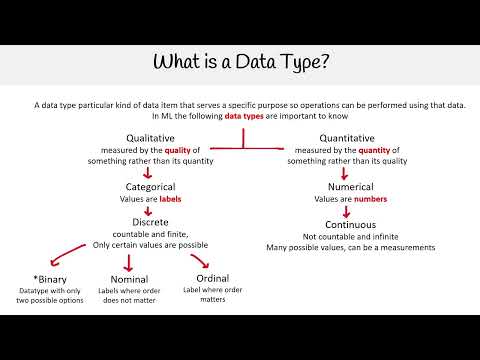 What is a Data Type? - AWS AI Practitioner AIF-C01