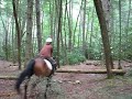 Jumping fallen tree in forest on my Thoroughbred! Jumping fallen tree in forest on my Thoroughbred!