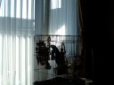 My Parrot -09-