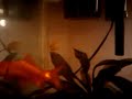 video-2009-05-19-22-53-48