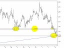 Share Market trading-MGX-AVO-OSH-NCM