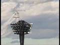 Zlin Z-50 - an aerobatics aicraft - stunt flying by Red Bull