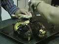 ROASTED-EGGPLANT-DINNER-part-1.