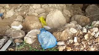 زيارة  لقرية صرعة المدمرة -  القدس.. تصوير  قيس فحماوي