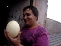 Campanha de Renan para entrar no Big Brother Brasil 8 apoiado por Allan Snipher e por Adelina(sua mãe), Vilu Dark Metal Dog (sua cachorra)e a galera do rockão Uberabense.
