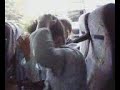 slap 1