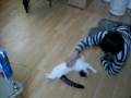 Katzen Karusell Katzen Karusell