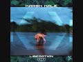 Bekijk muziek clip van Karsh Kale met Liberation