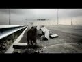 Overpopulation vs Nature
