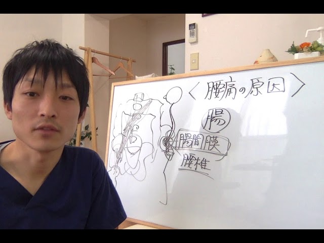 えっ！小腸が腰痛の原因！？