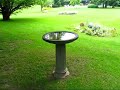 Country Getaways in Ontario: The Pool @ Landfall Farm B&amp;B