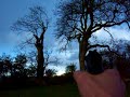 walther cp88 long range shooting
