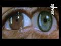 videos de Elion Silver telereklaam 3