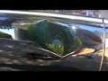 Paintless Dent Removal/Repair.. Napa/Vallejo