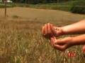 Jon and Kate Plus 8 - A Cow Purchase