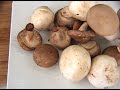 Learn about the wild mushrooms you will use for Orzo Pasta Salad with expert cooking tips in this free video recipe.