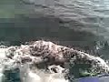 Me Scuba Diving Me Scuba Diving