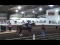 St. Louis National Charity 2008 Western Jr. Ex. division