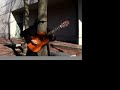 tree shade playing guitar tree shade playing guitar