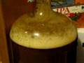 Carboy and Blowoff tubing