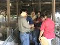videos de Aries Villa Farm Testi Part 1