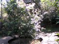 Ecotour04