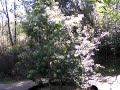 Ecotour04
