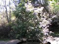 Ecotour04